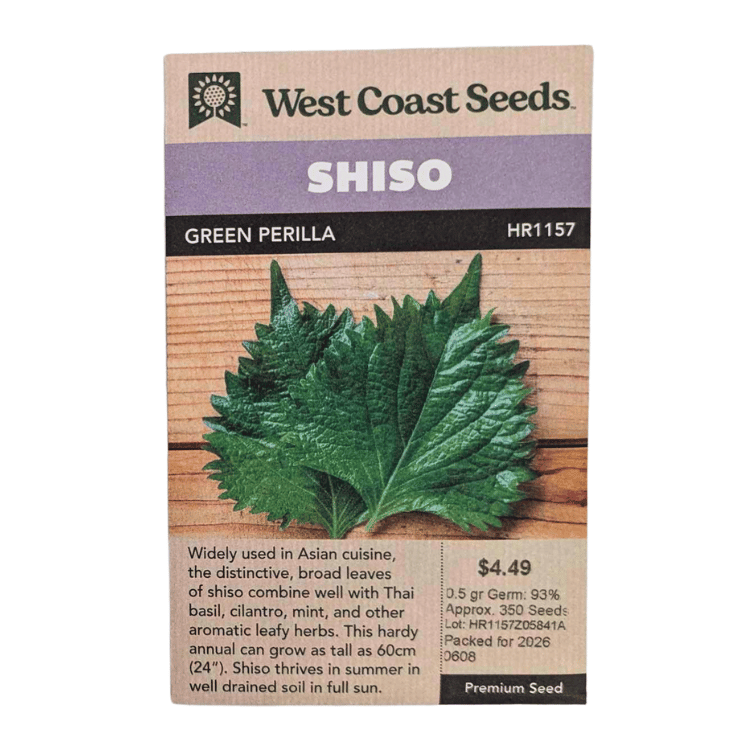West Coast Seeds Green Perilla Shiso Seeds - 350 Seeds