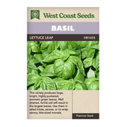 West Coast Seeds Lettuce Leaf Basil Seeds - 250 Seeds