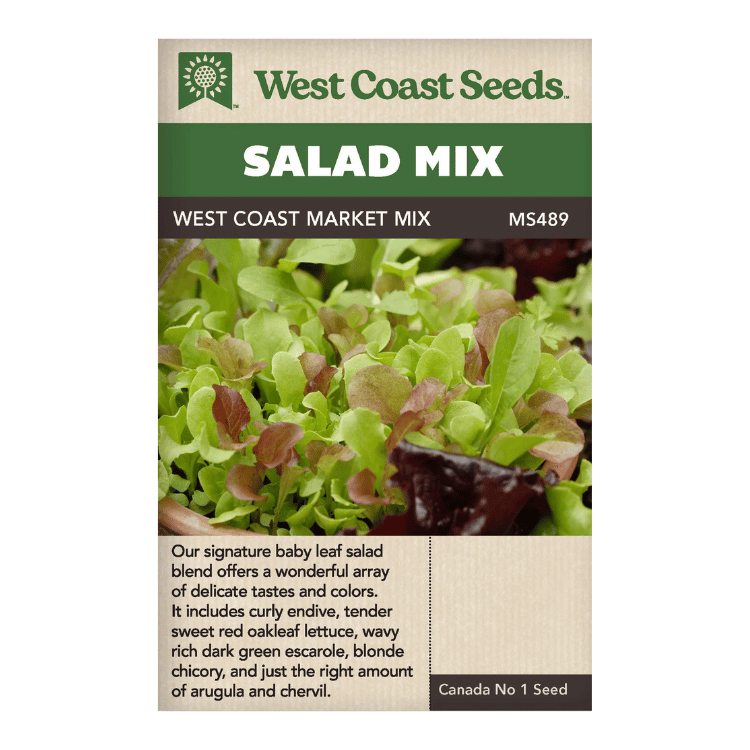 Produits les plus récents