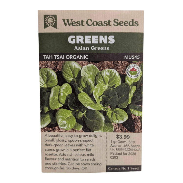 West Coast Seeds Tah Tsai Organic Asian Greens Seeds - 465 seeds