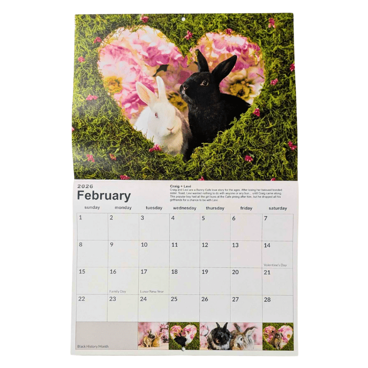 Rabbitats 2026 Calendar