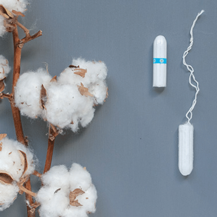 Natracare Organic Super Non-Applicator Tampons - 10 Count