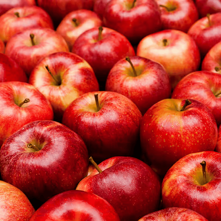 OHME! Freeze-Dried Apple Fries- 25g