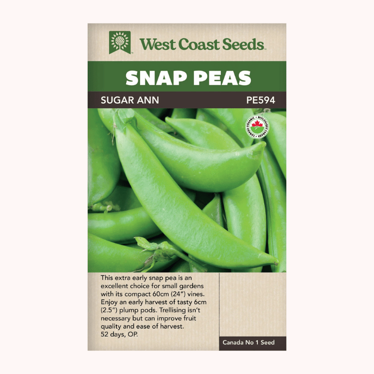 West Coast Seeds Sugar Ann Organic Snap Peas Seeds - 75 seeds