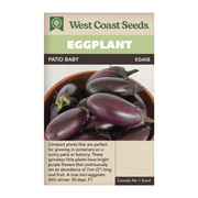 West Coast Seeds Patio Baby Eggplant Seeds - 10 Seeds