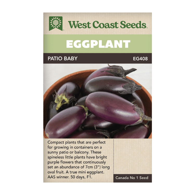 West Coast Seeds Patio Baby Eggplant Seeds - 10 Seeds