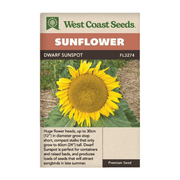 West Coast Seeds Dwarf Sunspot Sunflower Seeds - 20 seeds