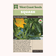 West Coast Seeds Ola Escaladora Organic Zucchini Squash Seeds - 10 seeds