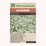 West Coast Seeds Snow Cloth Alyssum Seeds - 350 seeds