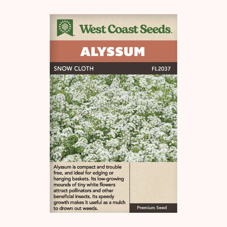 West Coast Seeds Snow Cloth Alyssum Seeds - 350 seeds