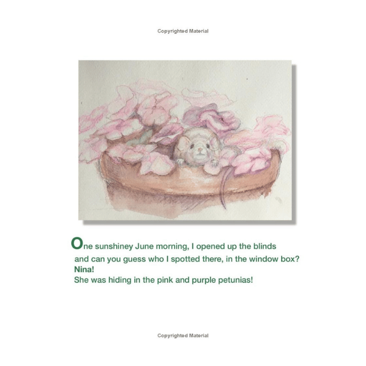 Nina's Song: A Story by Lori Fitzgerald