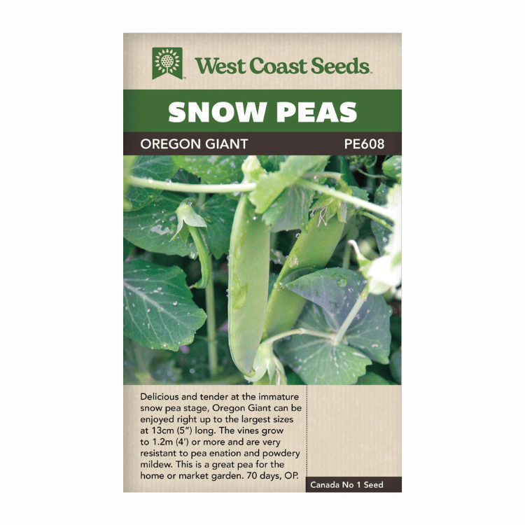 West Coast Seeds Oregon Giant Snow Pea Seeds - 55 Seeds