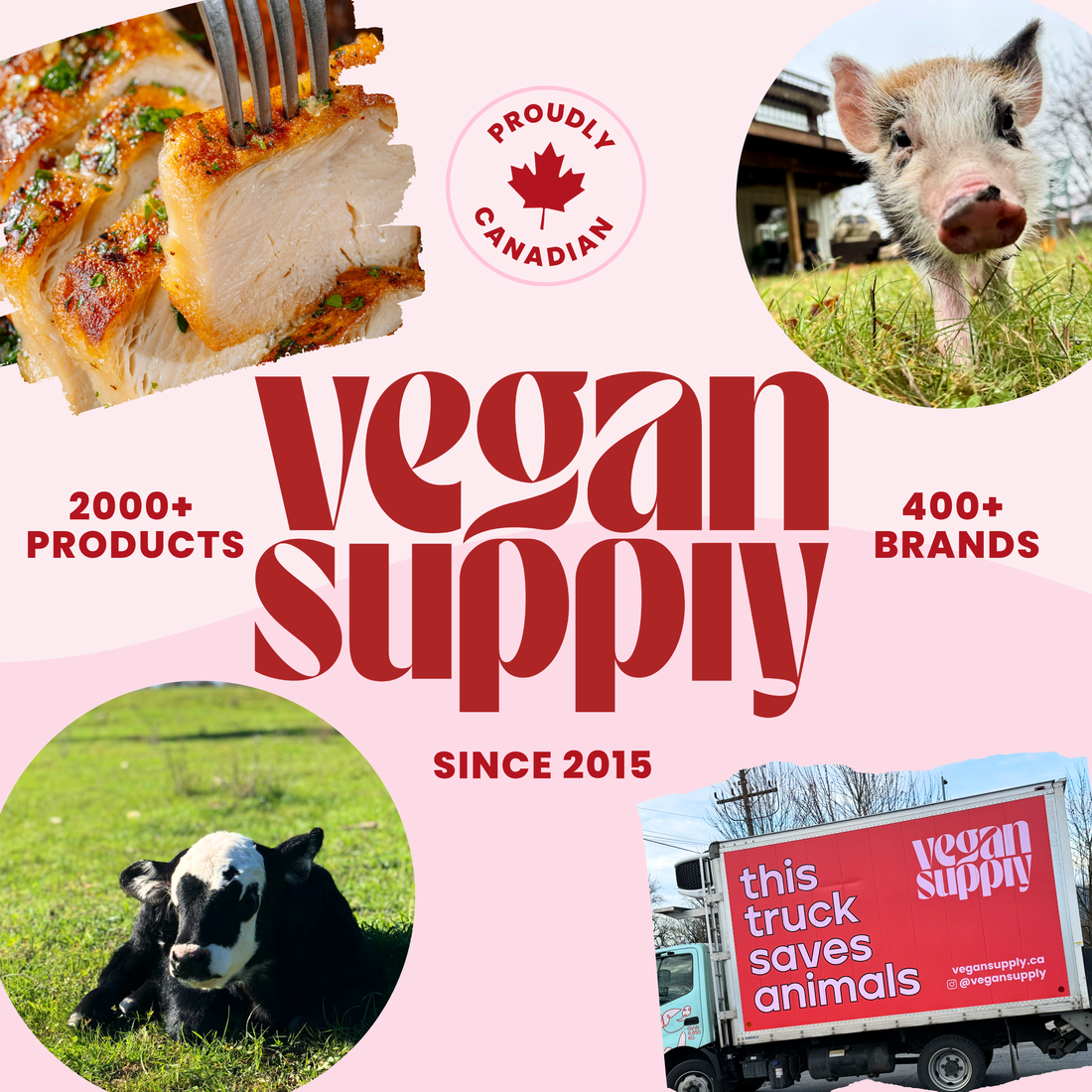 Vegan Supply