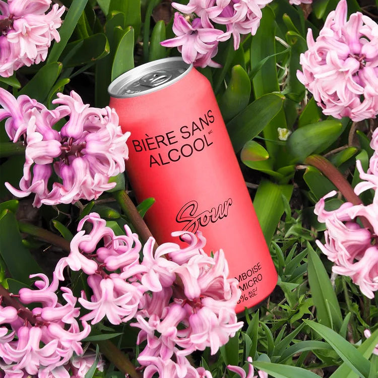 Biere Sans Alcool Non-Alcoholic Raspberry Sour - 473ml