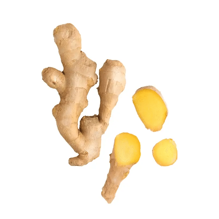 Loop Immunity Booster Shot - 60ml