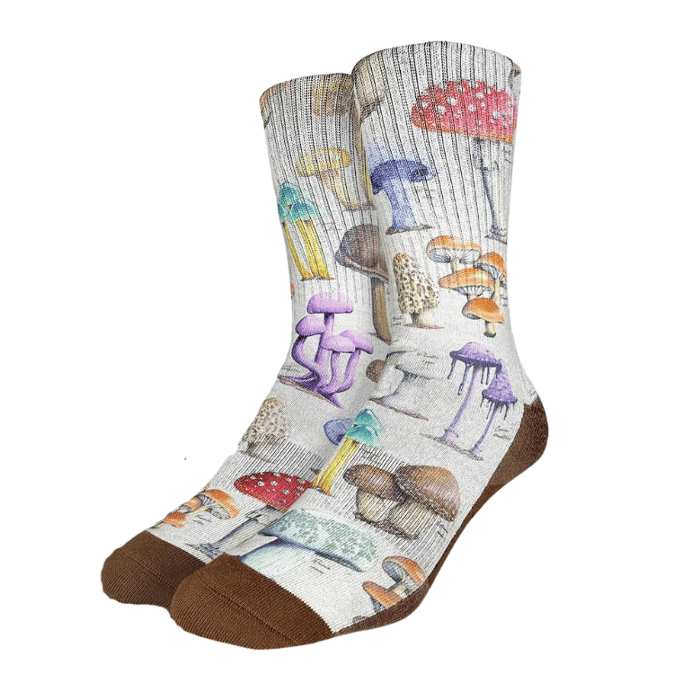 Good Luck Sock Morphology of Mushrooms Socks