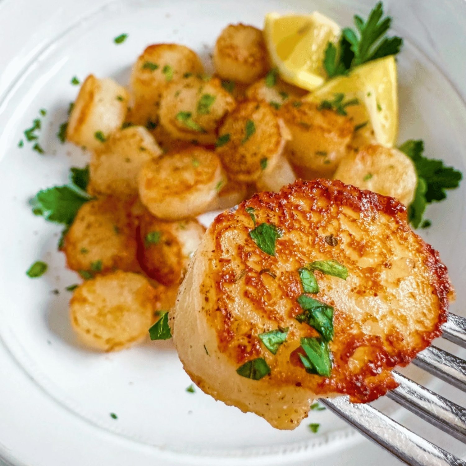 Pétoncles Happy Veggie World - 300g