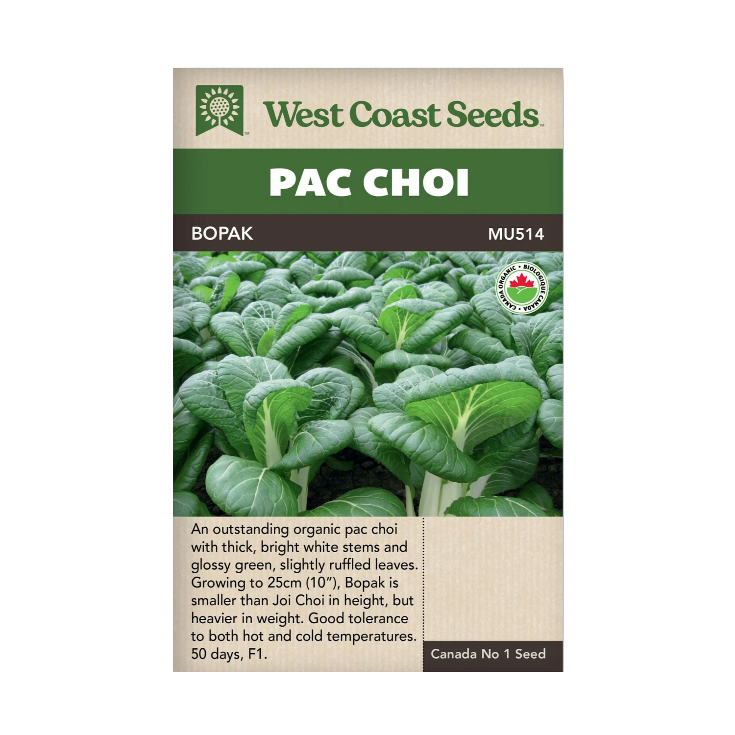 West Coast Seeds Bopak Pac Choi Seeds - 100 Seeds