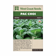 West Coast Seeds Bopak Pac Choi Seeds - 100 Seeds