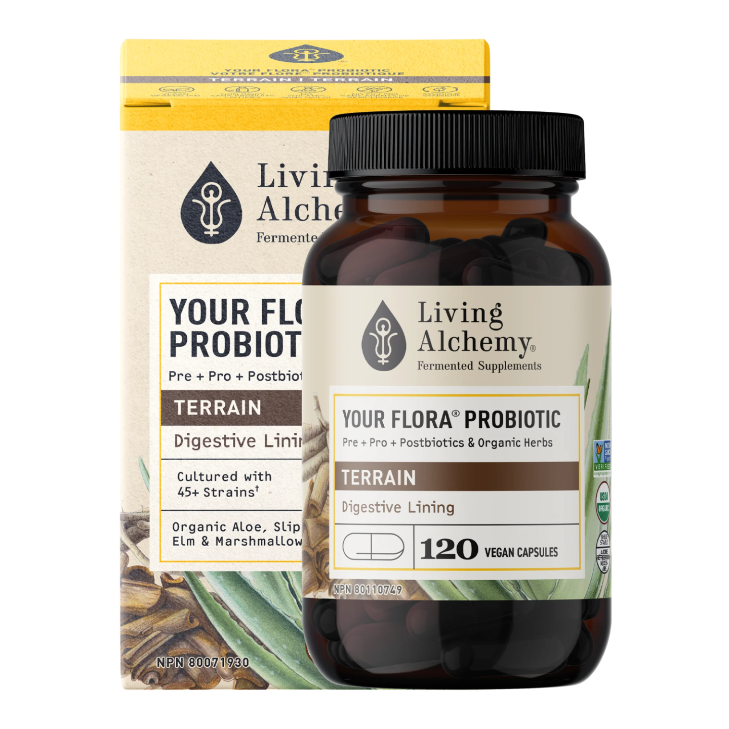 Living Alchemy Your Flora Terrain Digestive Lining - 60 caps