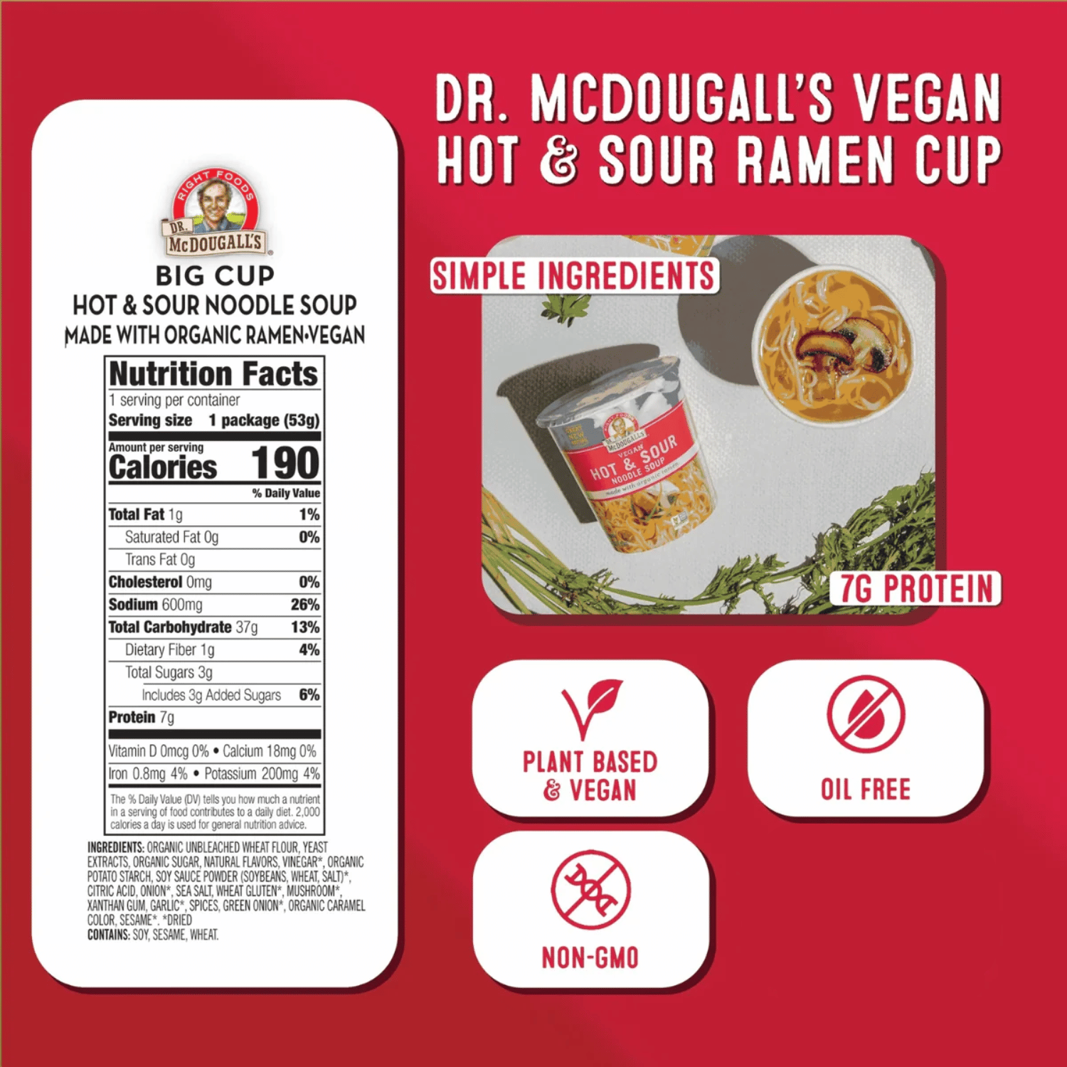 Dr. McDougall's Hot & Sour Noodle Soup Cup - 53g