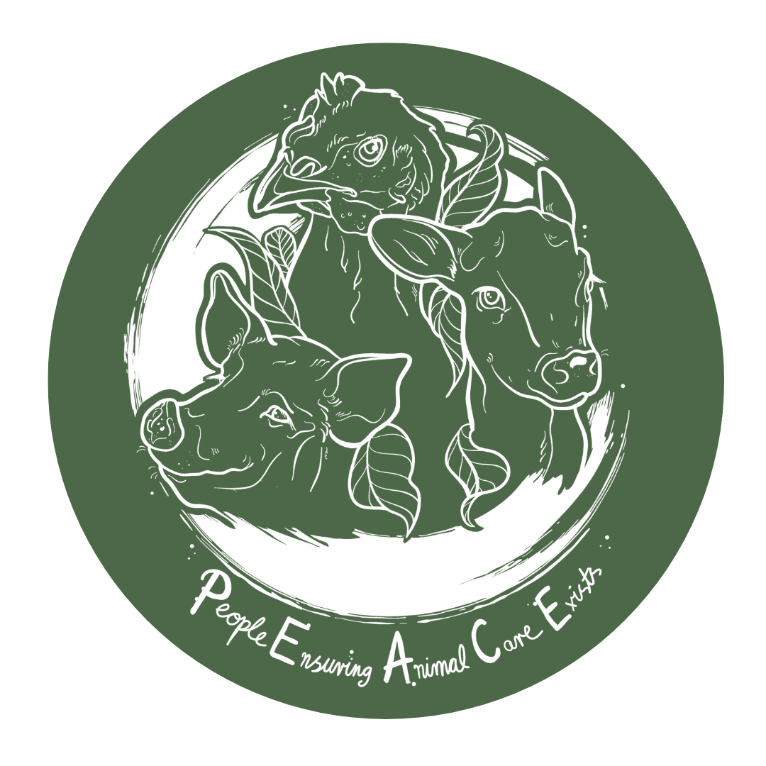 P.E.A.C.E Farm Sanctuary Rescue Stuffie - Small