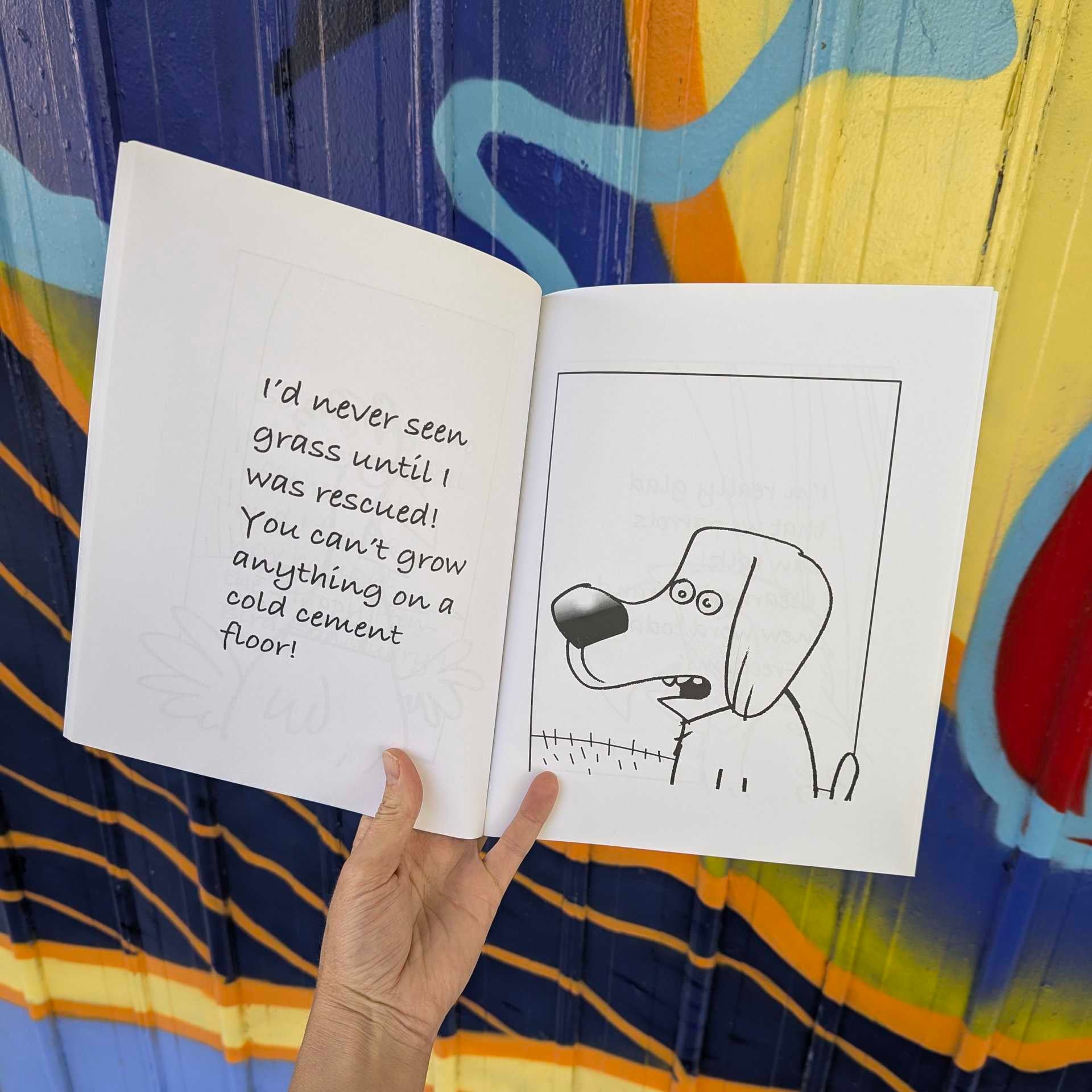 Sanctuary! The Animal-Friendly Coloring Book by Graham Harrop