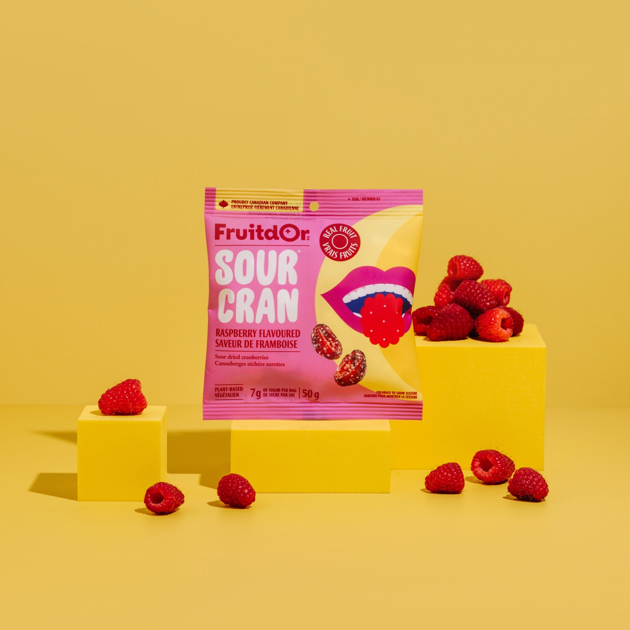 Patience & Co SourCran Sour Raspberry Cranberries - 60g