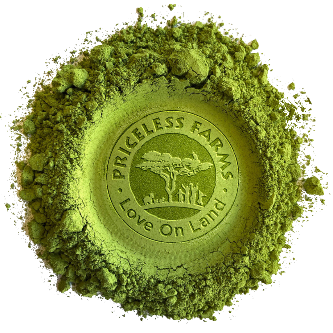 Ventree Life Natural Organics Poudre de Feuilles de Moringa Pure - 110g