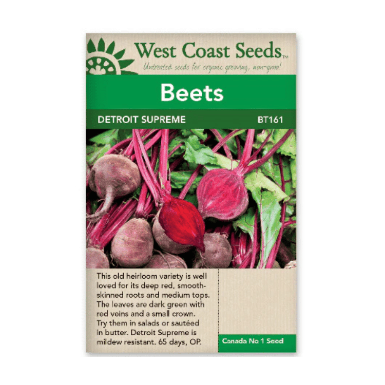 West Coast Seeds Detroit Supreme Beet Seeds - 250 Seeds