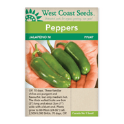 West Coast Seeds Jalapeno M Seeds - 35 Seeds
