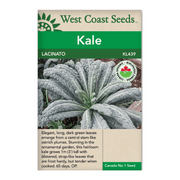 West Coast Seeds Graines de chou frisé Lacinato - 1g