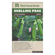 West Coast Seeds Little Marvel Shelling Peas Seeds - 95 Seeds