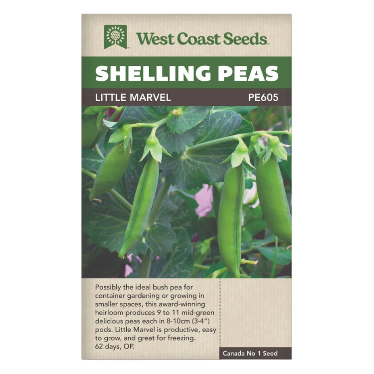 West Coast Seeds Little Marvel Shelling Peas Seeds - 95 Seeds