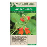 West Coast Seeds Graines de haricot empereur écarlate - 50 graines