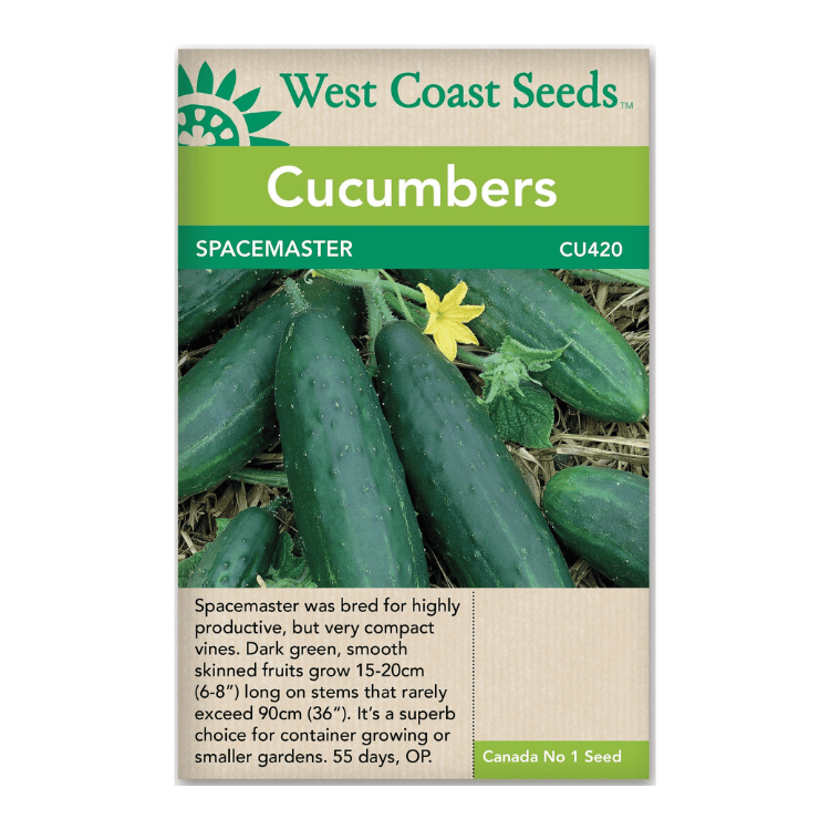 Space Master Cucumber Seeds – 25 Seeds, Bush Variety, Heat Tolerant, USA Seller