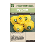 West Coast Seeds Sunburst Scallopini Squash Seeds - 20 seeds