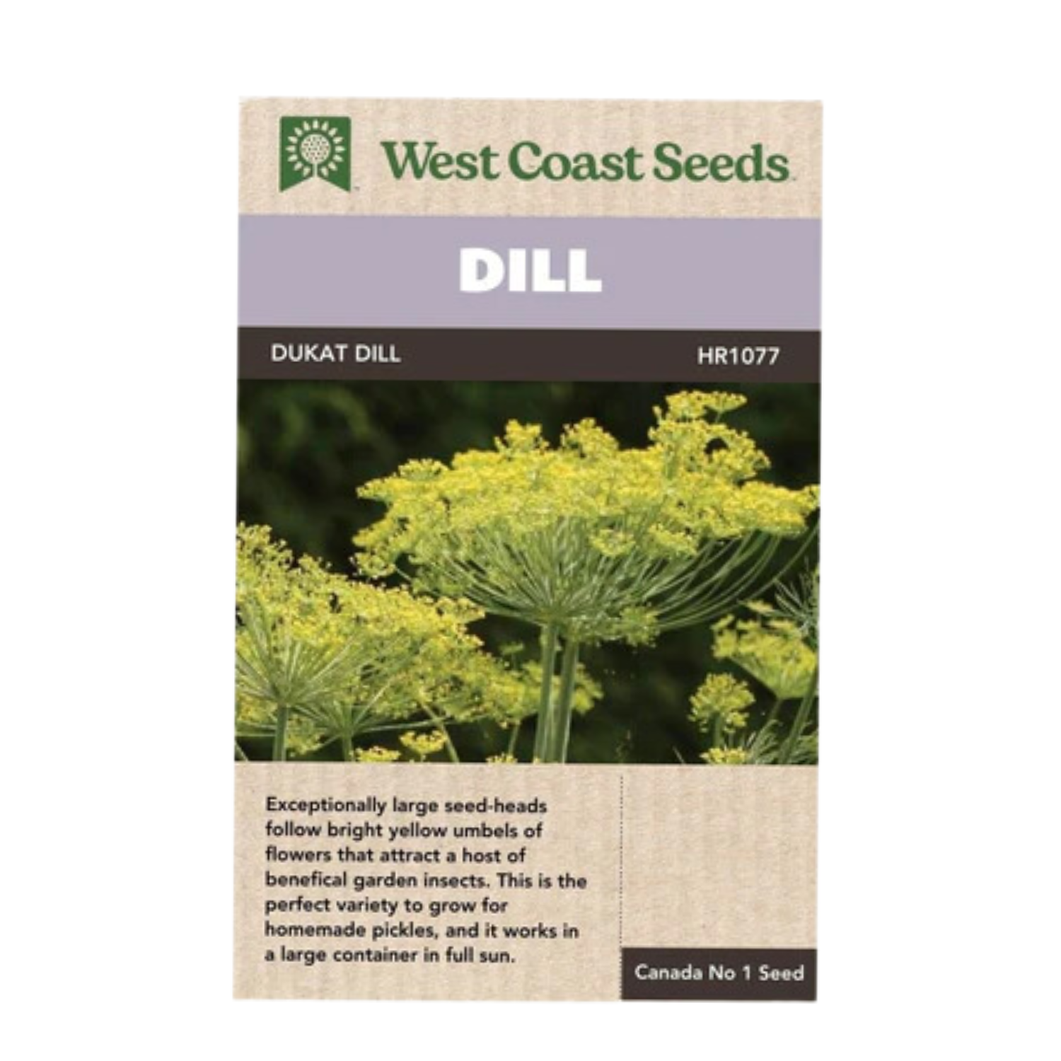 West Coast Seeds Dukat Dill Seeds - 515 Seeds