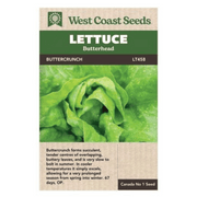 West Coast Seeds Graines de laitue Buttercrunch - 1g