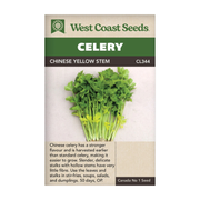 West Coast Seeds Chinese Yellow Stem Celery Seeds - 1090 Seeds