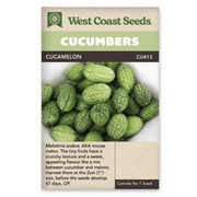 West Coast Seeds Cucamelon Cucumber Seeds - 30 Seeds
