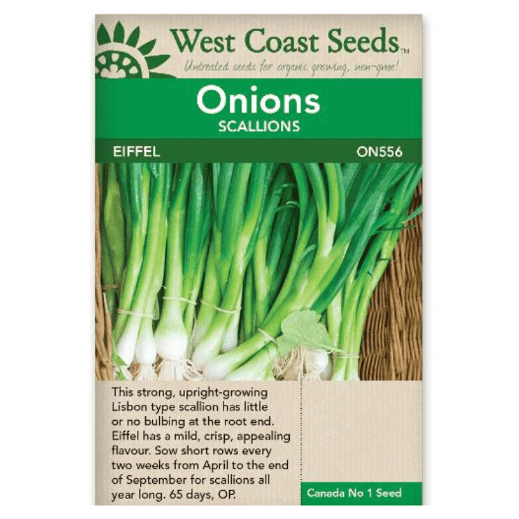 West Coast Seeds Eiffel Green Onions Seeds