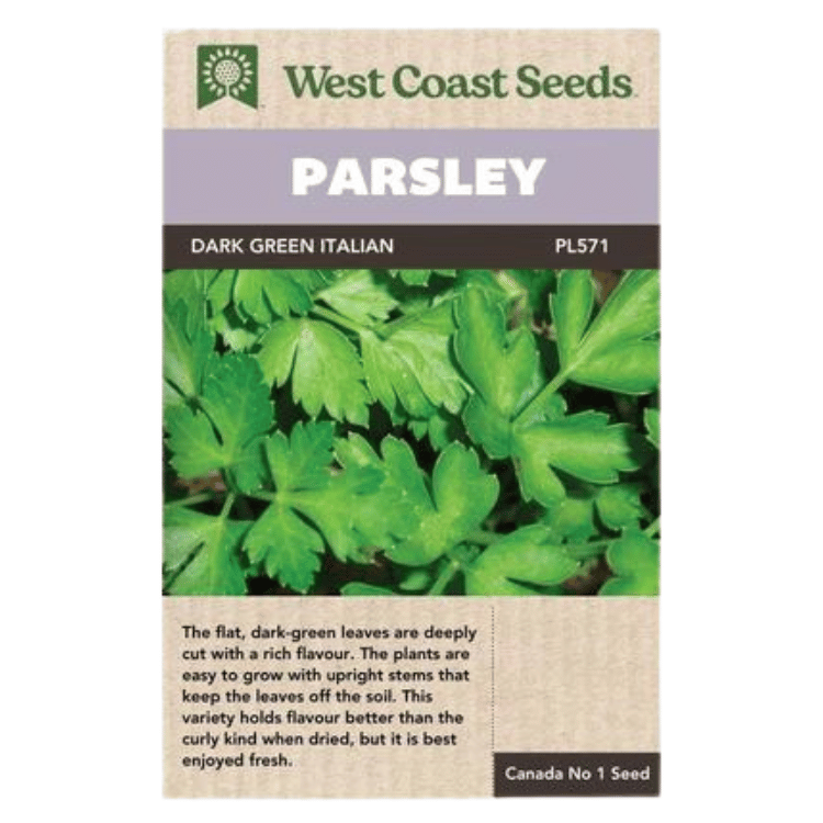 West Coast Seeds Dark Green Italian Plain Parsley Seeds - 845 Seeds