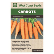 West Coast Seeds Scarlet Nantes Carrot Seeds - 350 Seeds