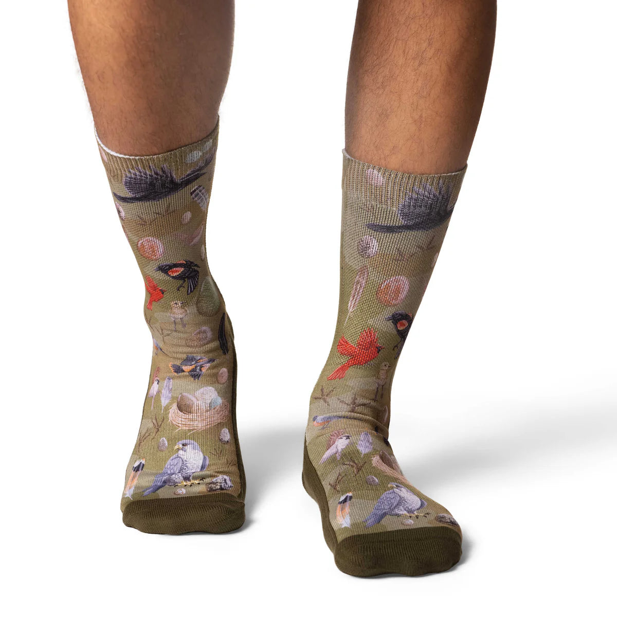 Good Luck Sock Birds Nest Socks