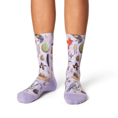 Good Luck Sock Birds Nest Socks