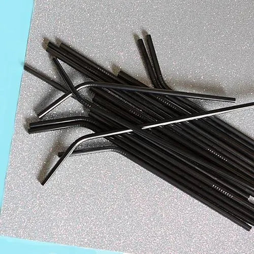 CLEARANCE - The Last Straw 8.5" Stainless Steel Straw - Black