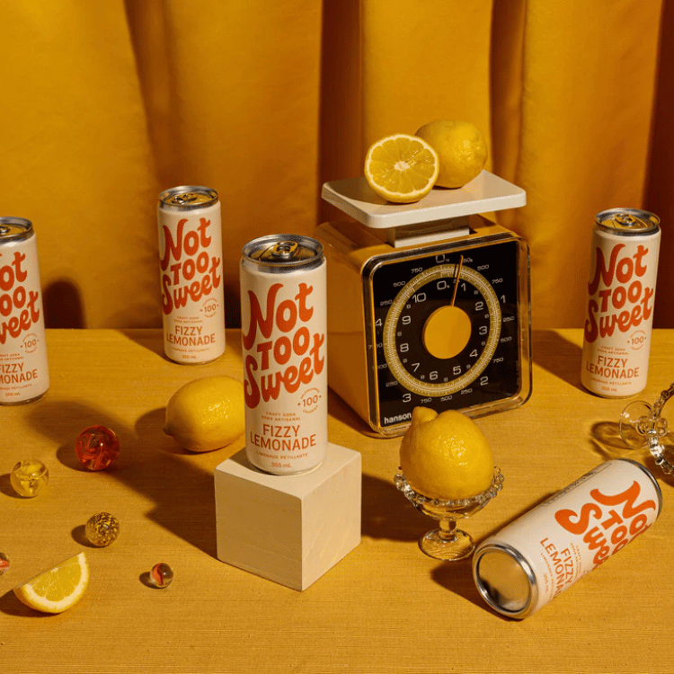 Not Too Sweet Craft Soda Fizzy Lemonade - 355ml