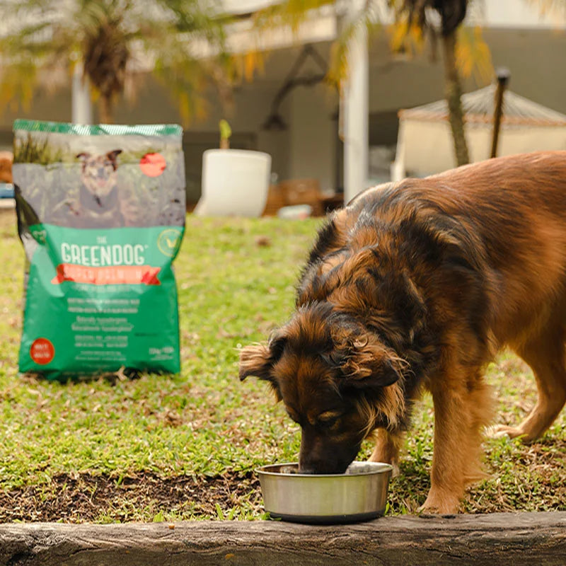 Green Dog Adult Dog Food - 15kg