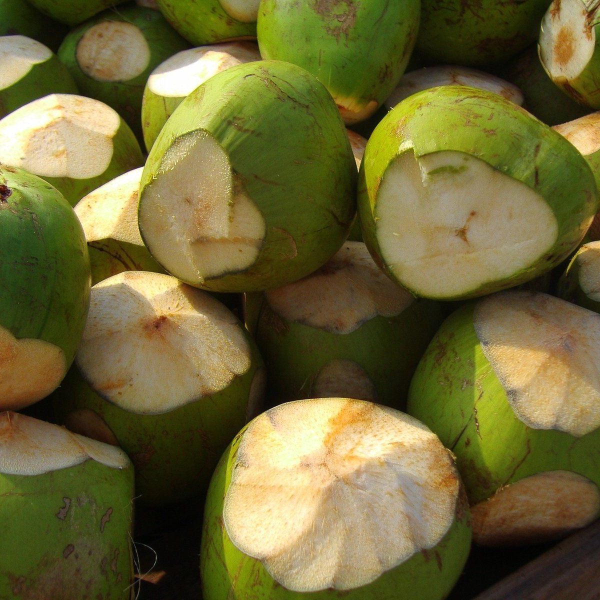 King Island Coconut Water - 1L